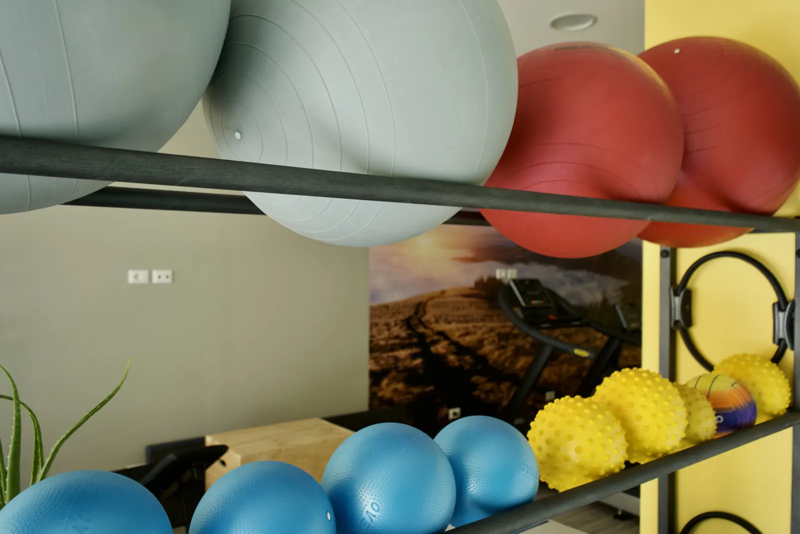 Palline e fitball per la ginnastica posturale